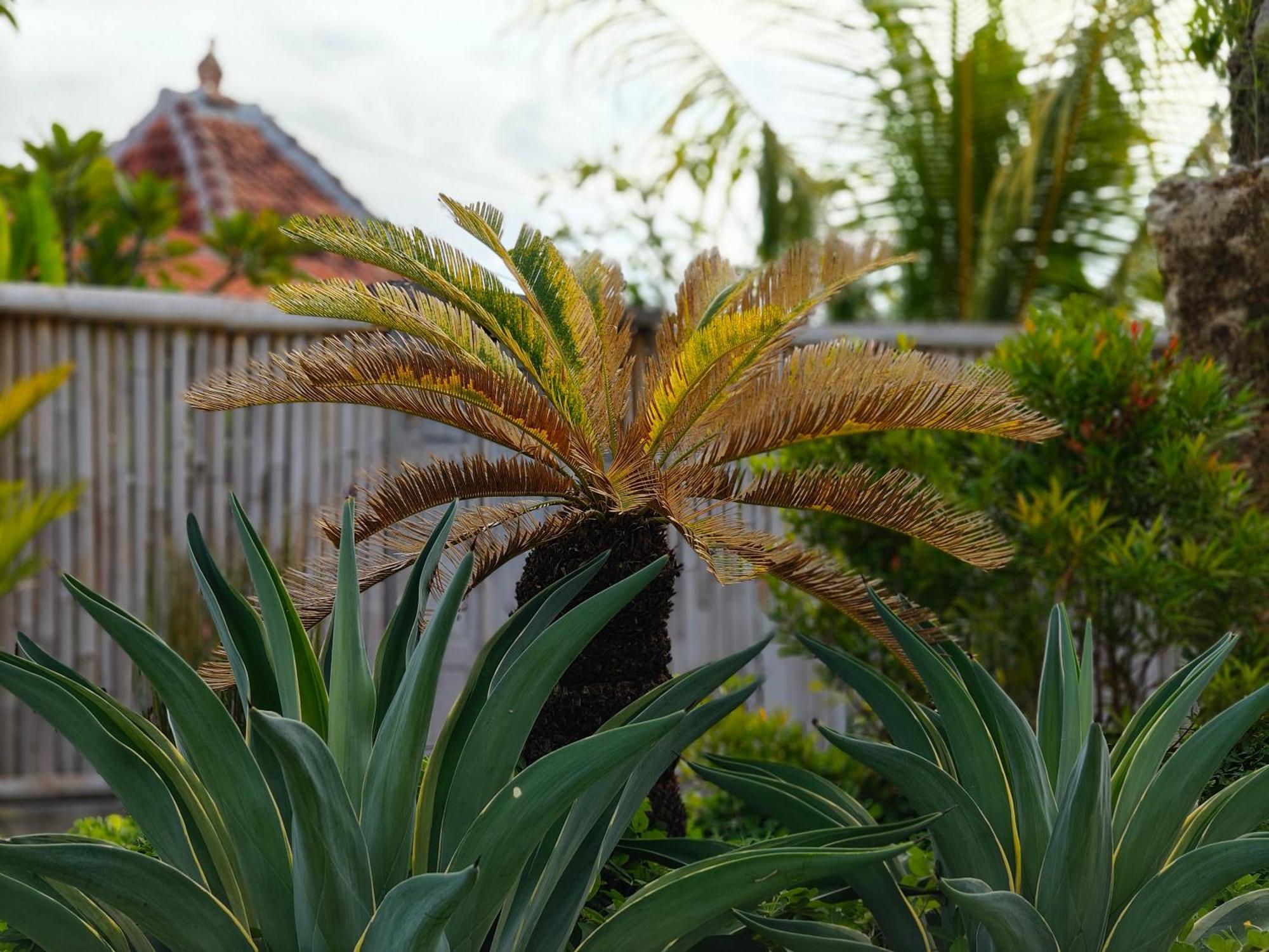 Alam Cottage Uluwatu 外观 照片